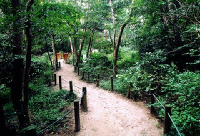 じゅんさい池公園