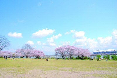 新潟県立鳥屋野潟公園（女池・鐘木地区）