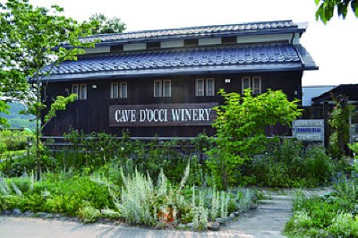 CAVE D'OCCI WINERY