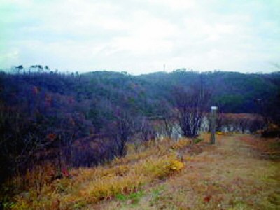 浦田の森森林公園