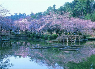 村松公園