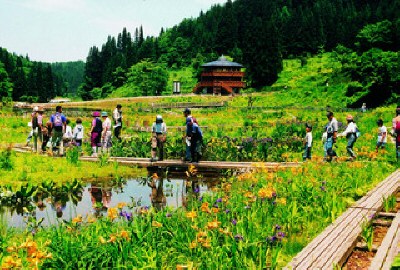 たきがしら湿原