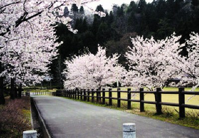 しらさぎ森林公園