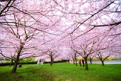 白山公園 空中庭園